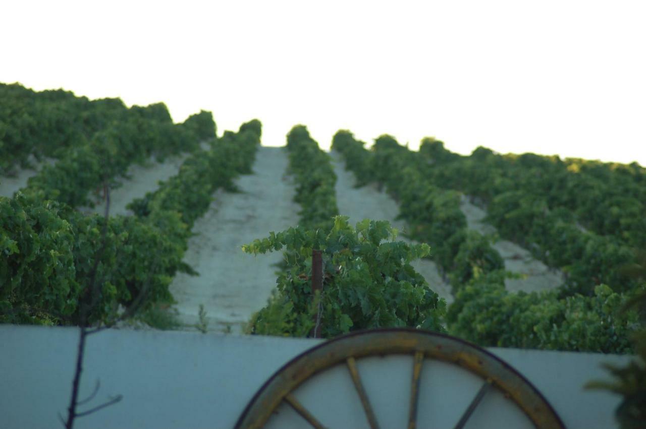 Jerez Vina Santa Petronila Vendégház Jerez de la Frontera Kültér fotó