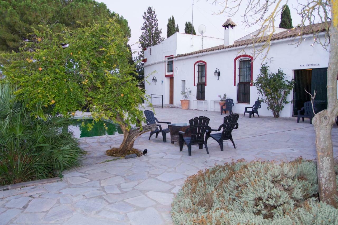 Jerez Vina Santa Petronila Vendégház Jerez de la Frontera Kültér fotó